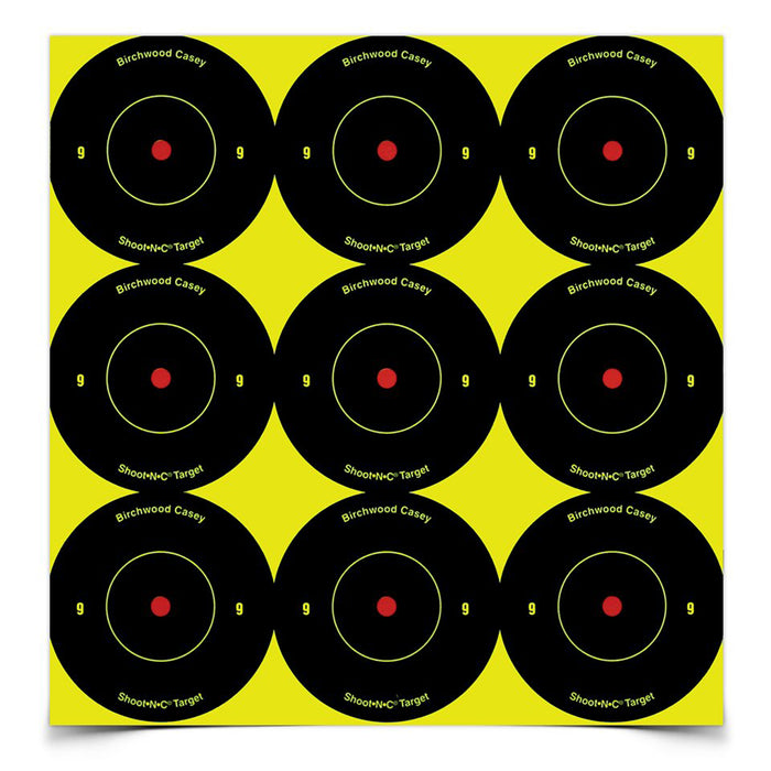 Birchwood Casey BC-34210 Round Bullseye Target - High Quality Shooting Target