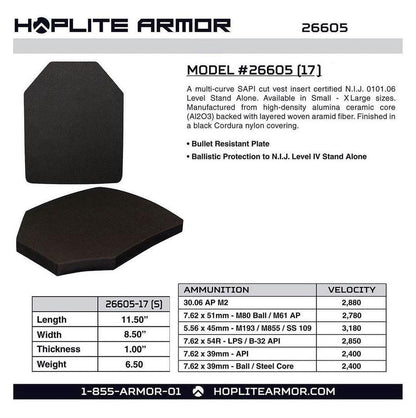 Rogue 3.0 Body Armor Plate / Carrier Combo- Level IV (26605)